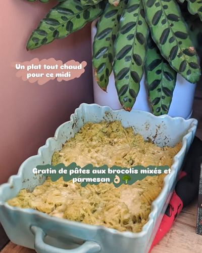 Gratin de pâtes aux brocolis mixés et parmesan