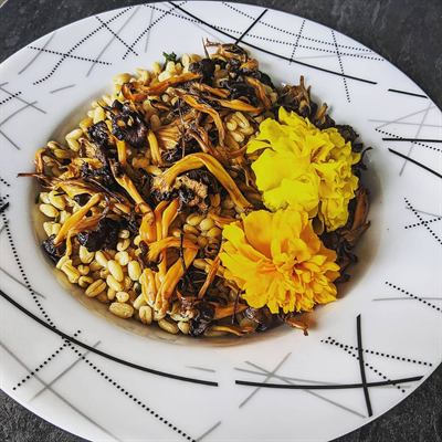 Blé aux champignons et fleurs comestibles