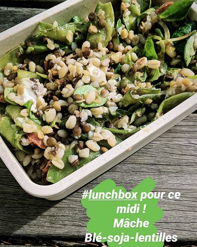 Mâche, blé et lentilles au chèvre frais et chorizo