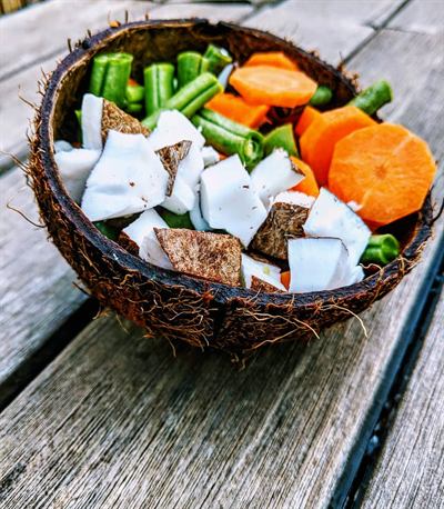 Bowl coco, carottes et haricots verts