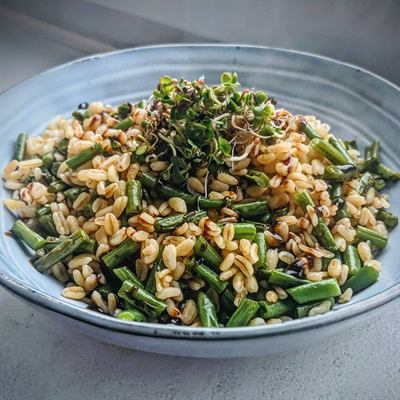 Blé aux haricots verts et graines germées