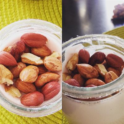 Yaourt fermier à la fraise, noisettes et noix