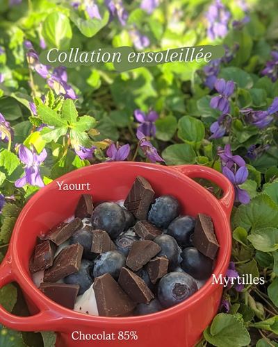 Collation ensoleillée : yaourt, myrtilles et chocolat 85 %