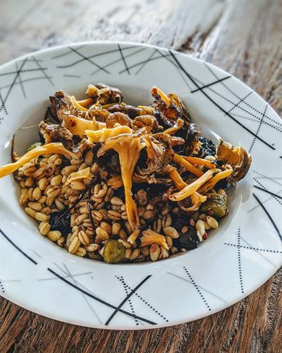 Poêlée de chanterelles, blé et olives noires