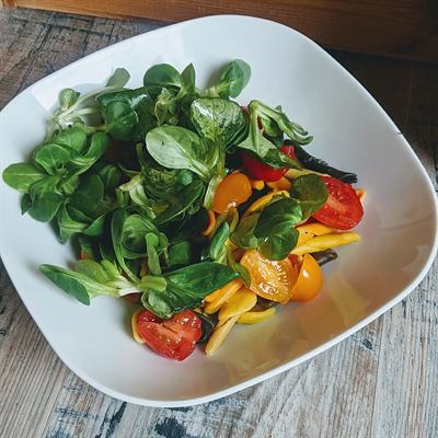Salade de pâtes colorées, houmous et huile de noix