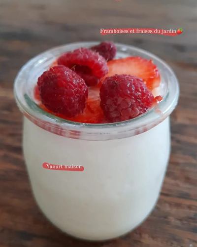 Yaourt maison aux framboises et fraises du jardin