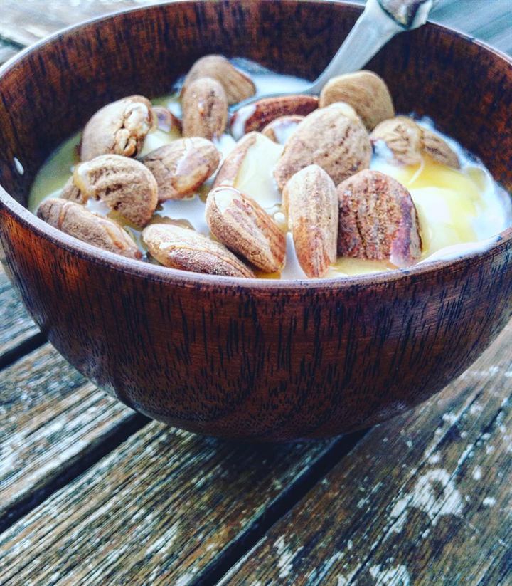 Bol frais fromage blanc, abricots, amandes et miel