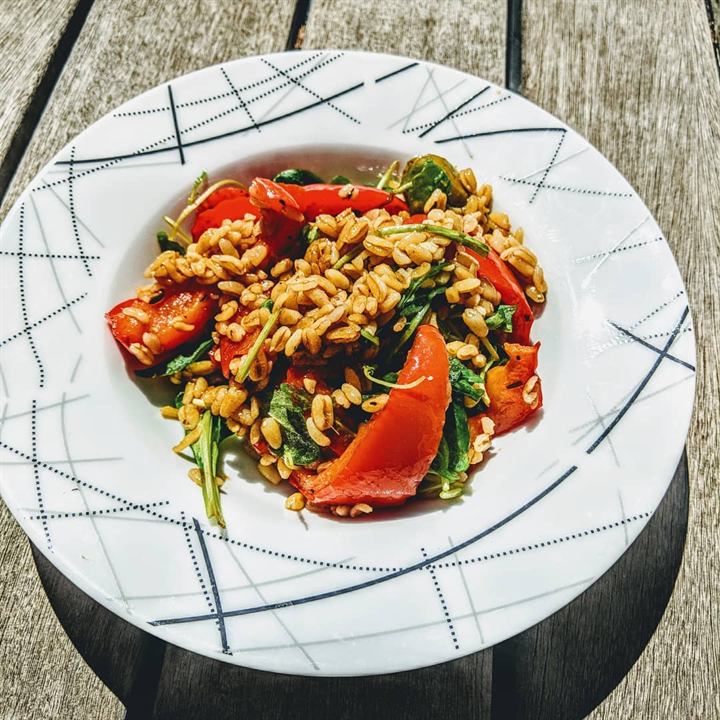 Salade d'été : blé, poivrons marinés et roquette