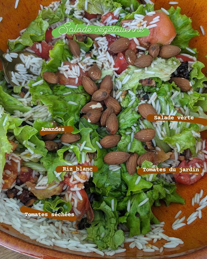 Salade végétalienne riz, tomates et amandes