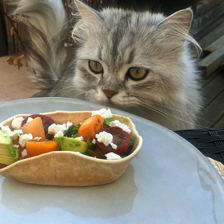 Barquette de blé, melon, avocat, feta et menthe