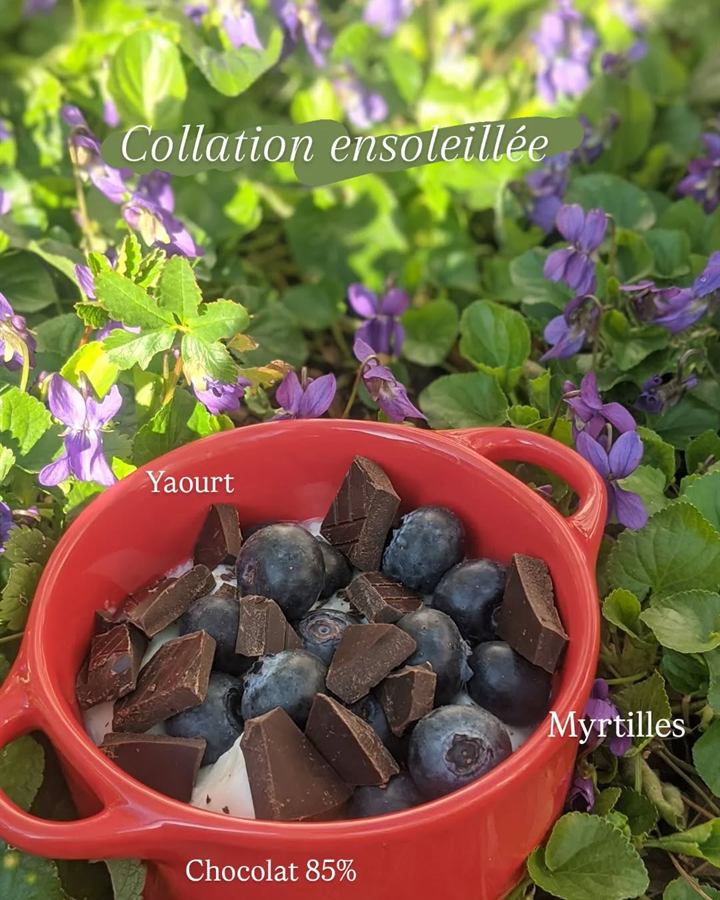 Collation ensoleillée : yaourt, myrtilles et chocolat 85 %