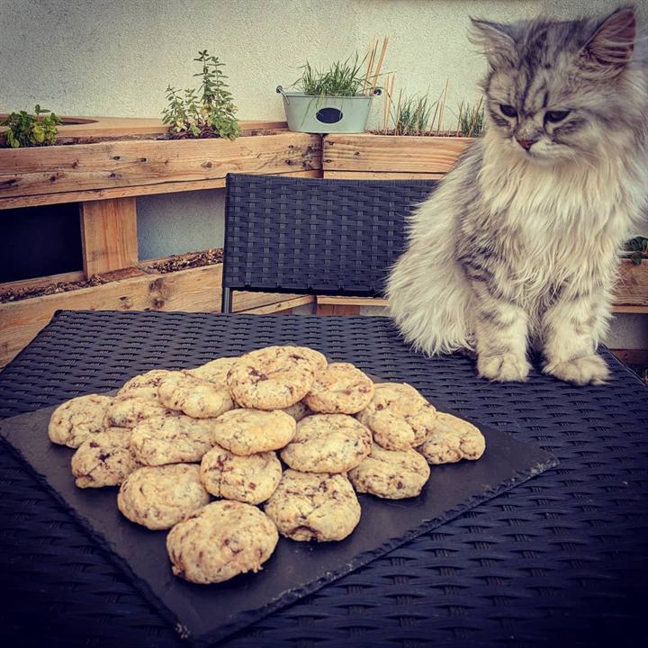 Cookies chocolat, cannelle et noix