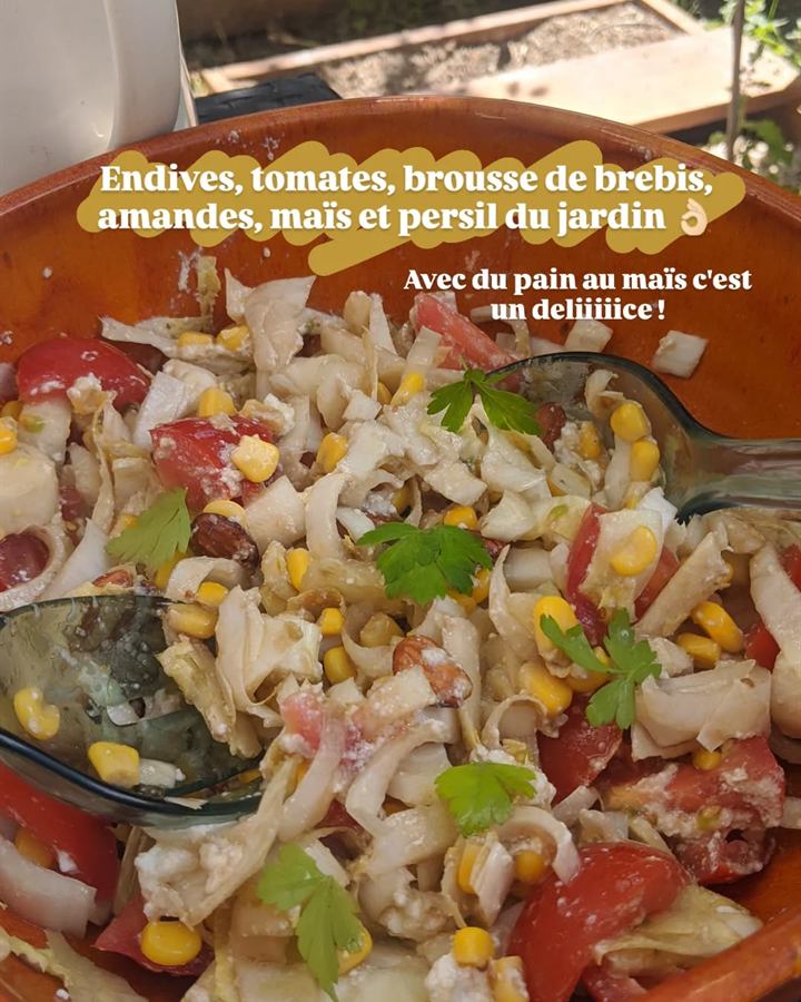 Endives, tomates, brousse de brebis et amandes, pain au maïs
